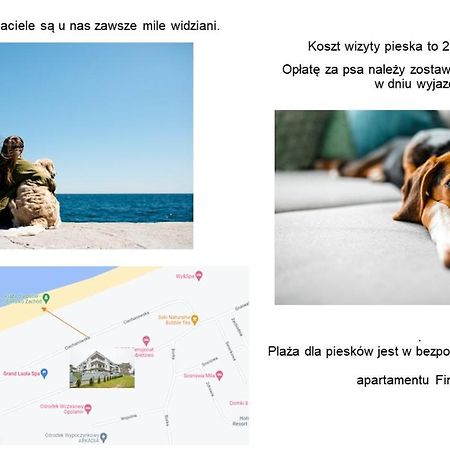 Apartament Finestra, Przy Morzu, Ul Grunwaldzka 12 D23 포비에로보 외부 사진