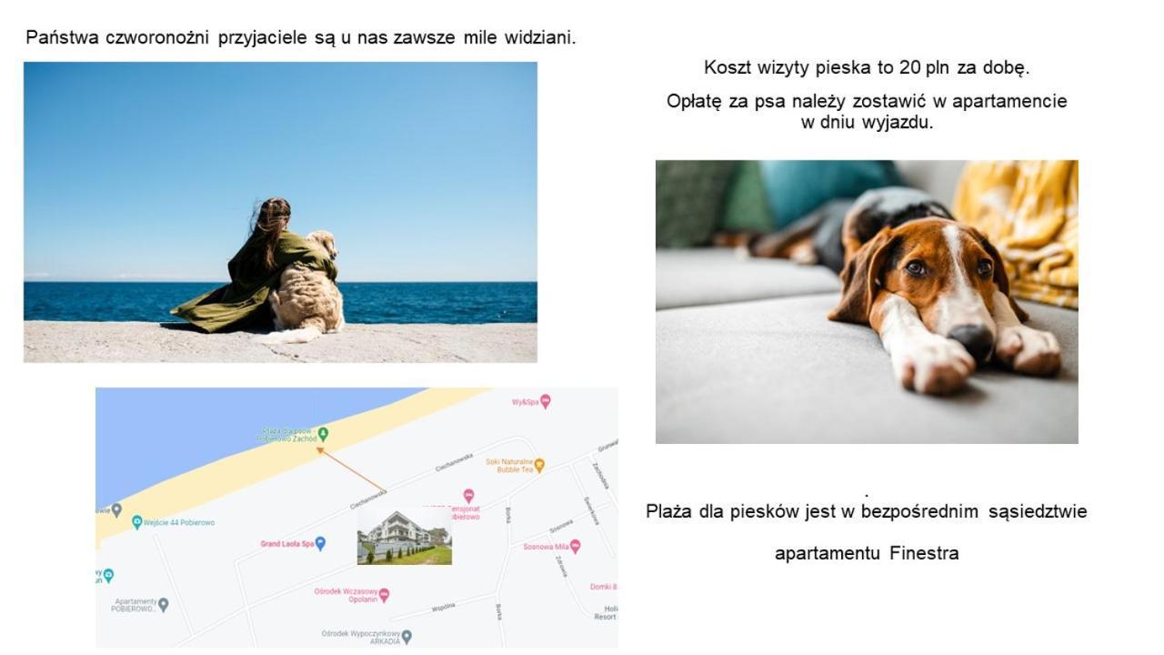 Apartament Finestra, Przy Morzu, Ul Grunwaldzka 12 D23 포비에로보 외부 사진